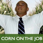Thumbnail image for Corny Questions: What Do You Wish Job Seekers Knew?