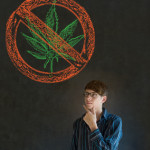 Should America Be Going Green: The Pros & Cons of the Legalization of Marijuana